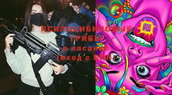тгк Осинники