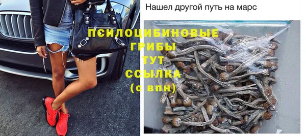 тгк Осинники