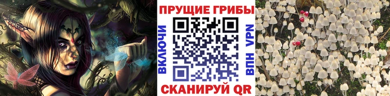 Галлюциногенные грибы Magic Shrooms  наркотики  Прокопьевск 