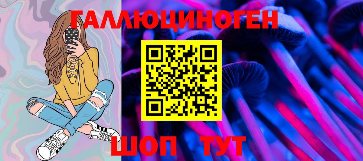 Псилоцибиновые грибы GOLDEN TEACHER Прокопьевск
