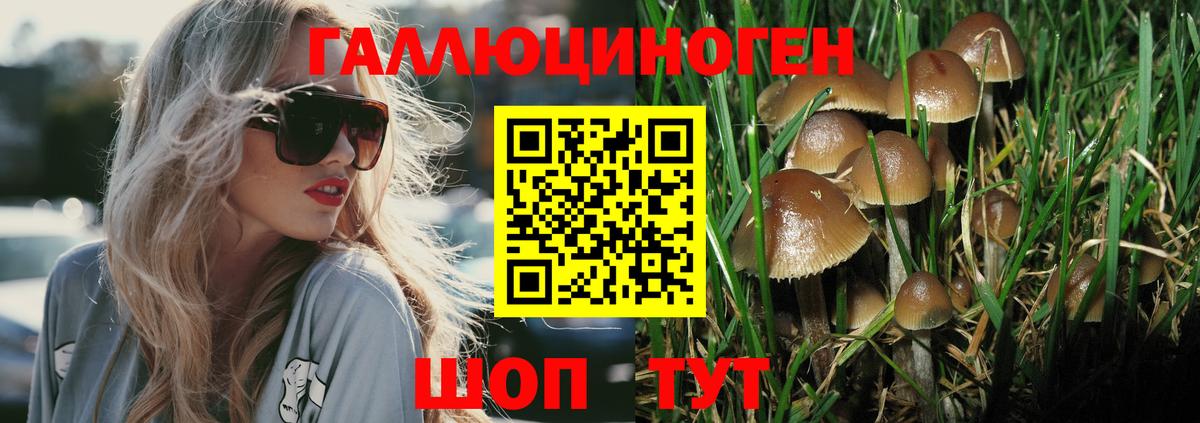 APVP Прокопьевск